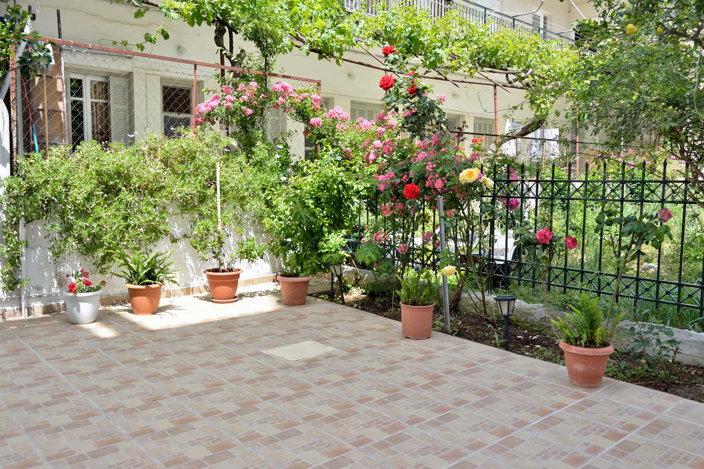 Evia Studios Loutra Edipsou  Room photo